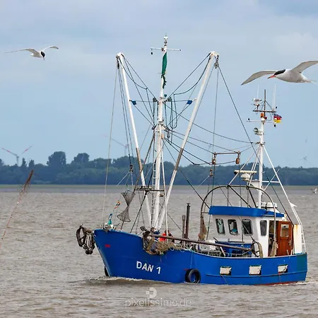 Huus Salicornia, Vermittlung Nordsee *